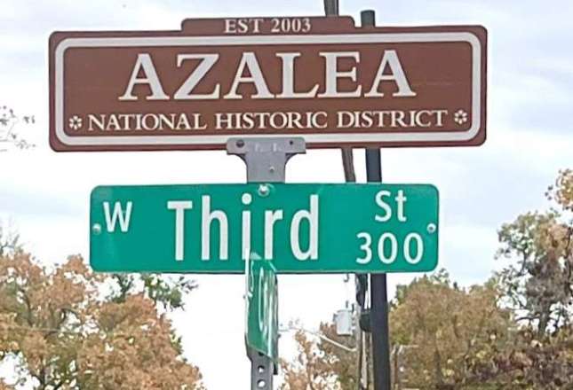 Learn more about Azalea District
